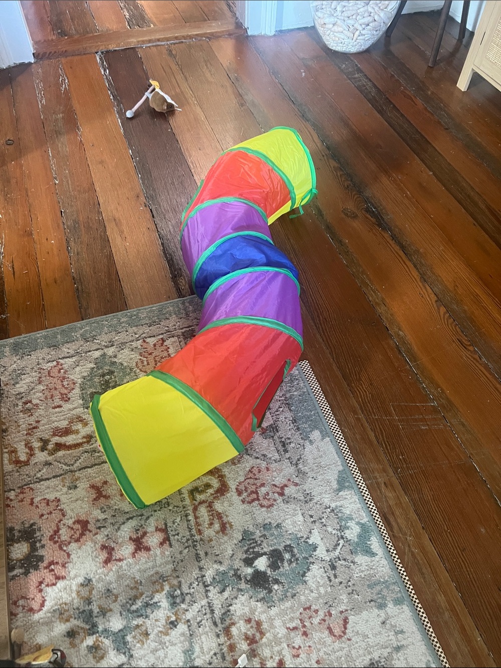 Cat Play Tunnel - Bright Multicolor - ZOOMIES